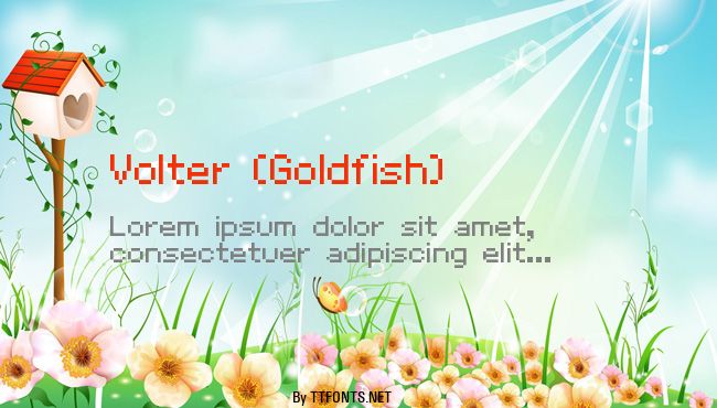 Volter (Goldfish) example